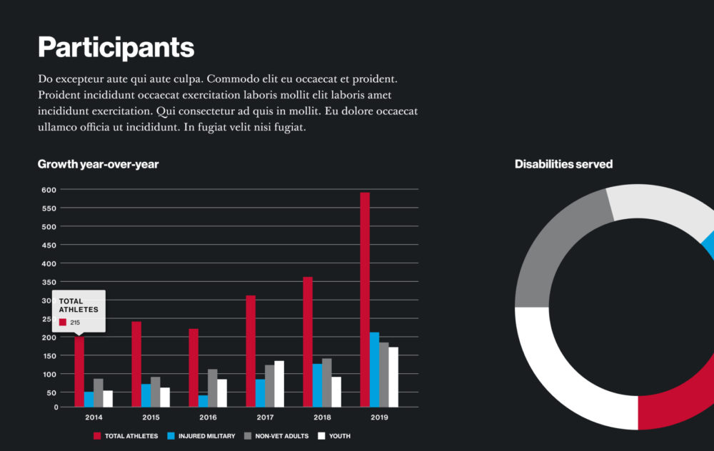 Custom data visulizations