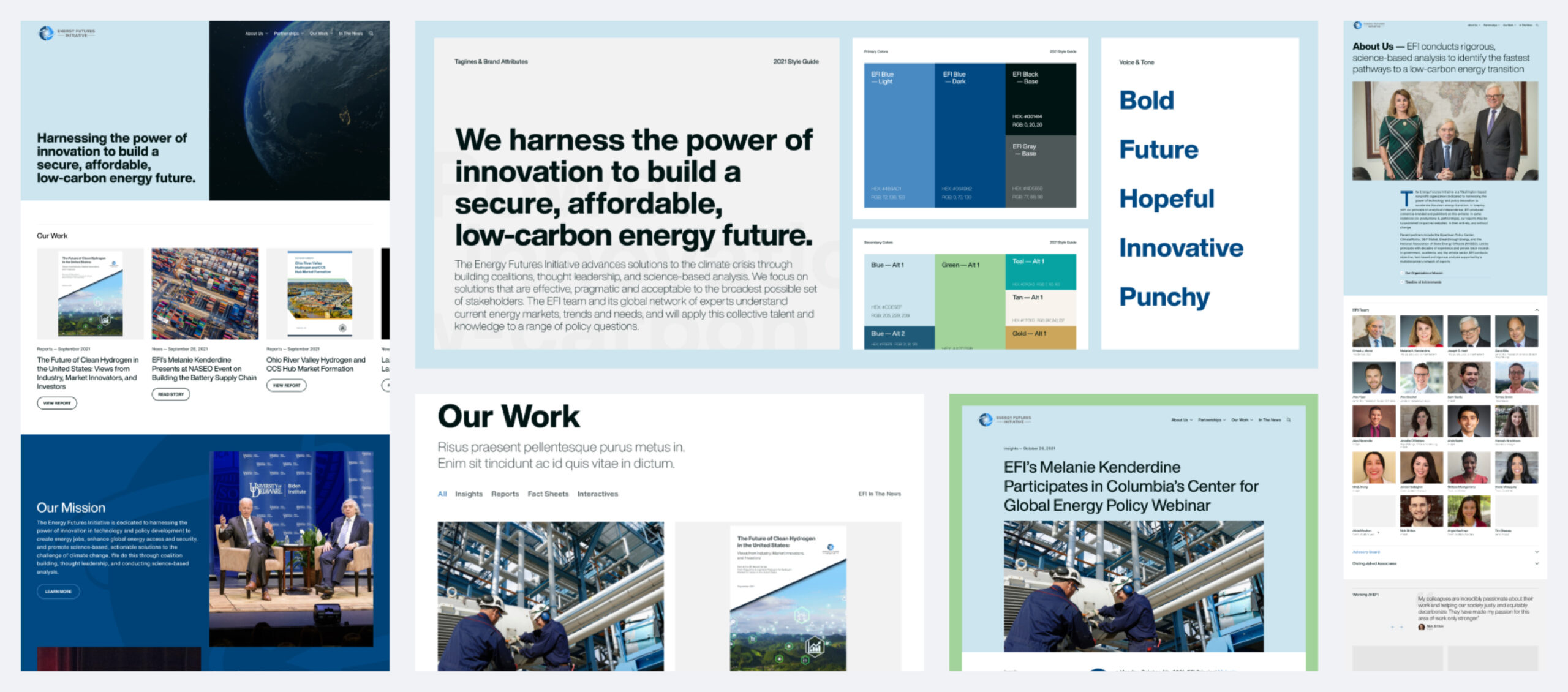 WordPress digital designs for Energy Futures Initiative.