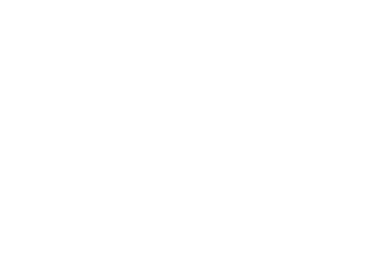 NALEO Education Fund logo
