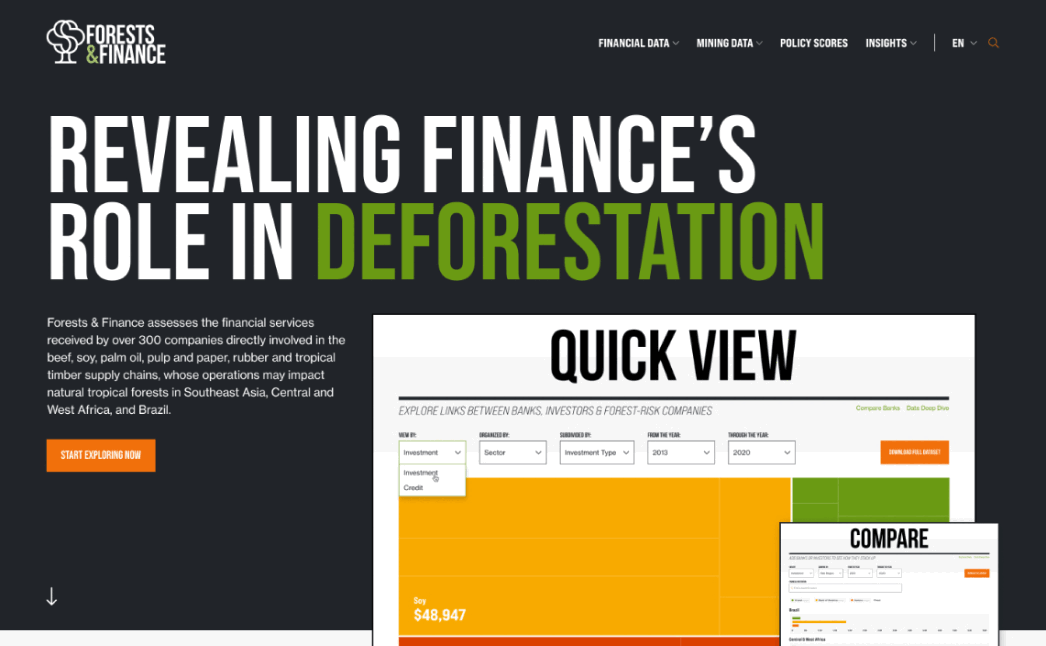 Screen shots from Forests & Finance's website.